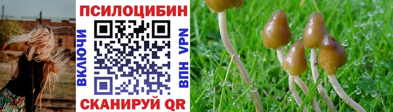 даркнет сайт  Ужур  Галлюциногенные грибы мухоморы 